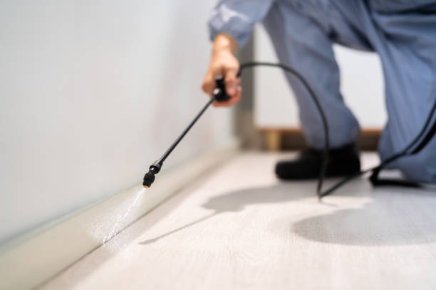 Licensed Fumigation Services service in Cleveland, OH - Nex Pest Control