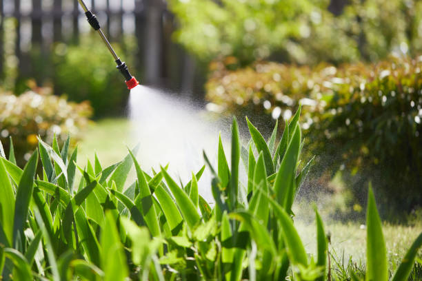 24/7 Emergency Fumigation Services experts in Cleveland, OH